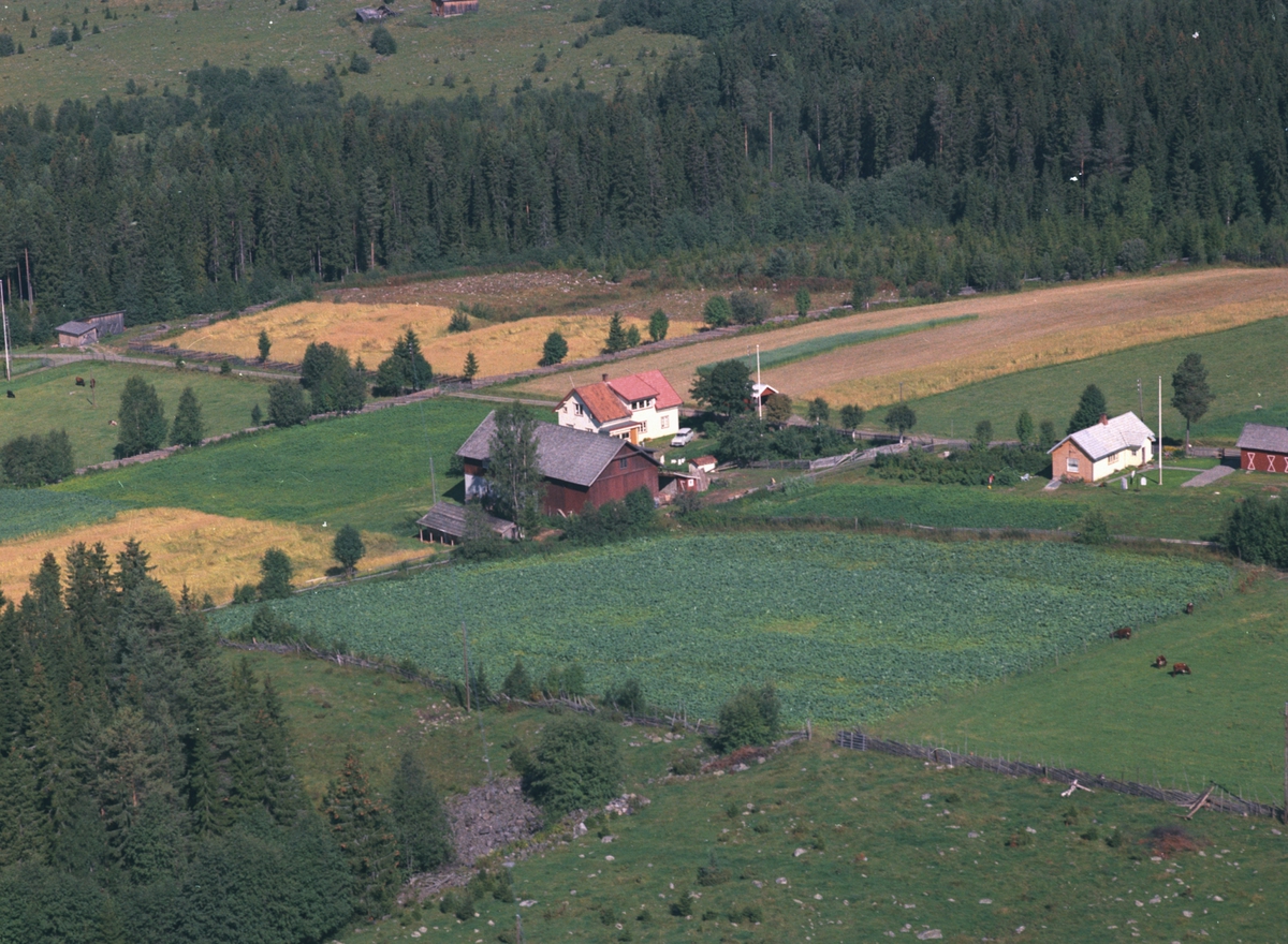 Widerøes Flyveselskap A/S, Flyfoto, Steinsrud, Åsmarka, Ringsaker.