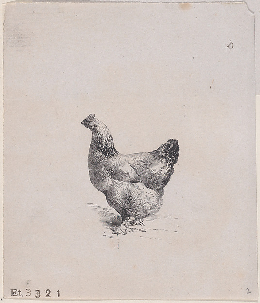 Charles Jacque, From The Henhouse