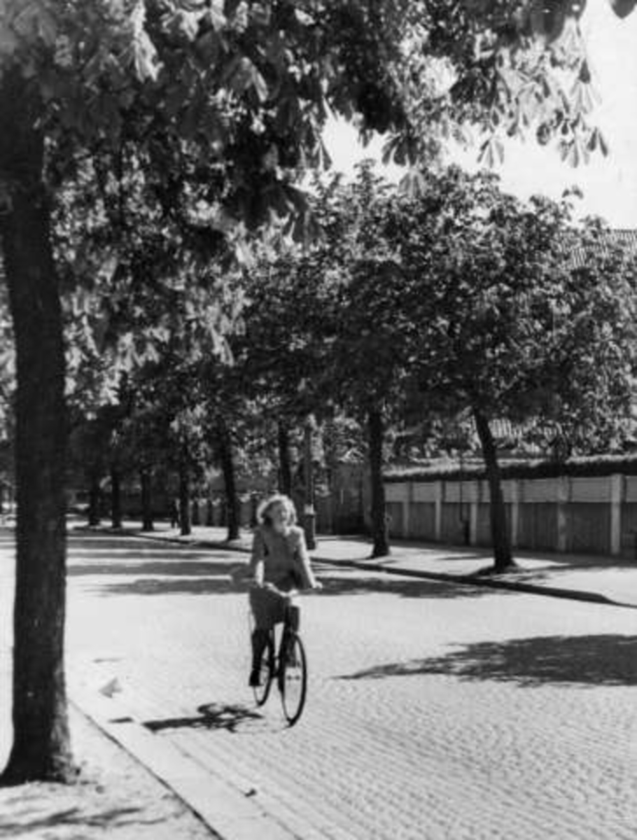 Anders Beer Wilse, -6267