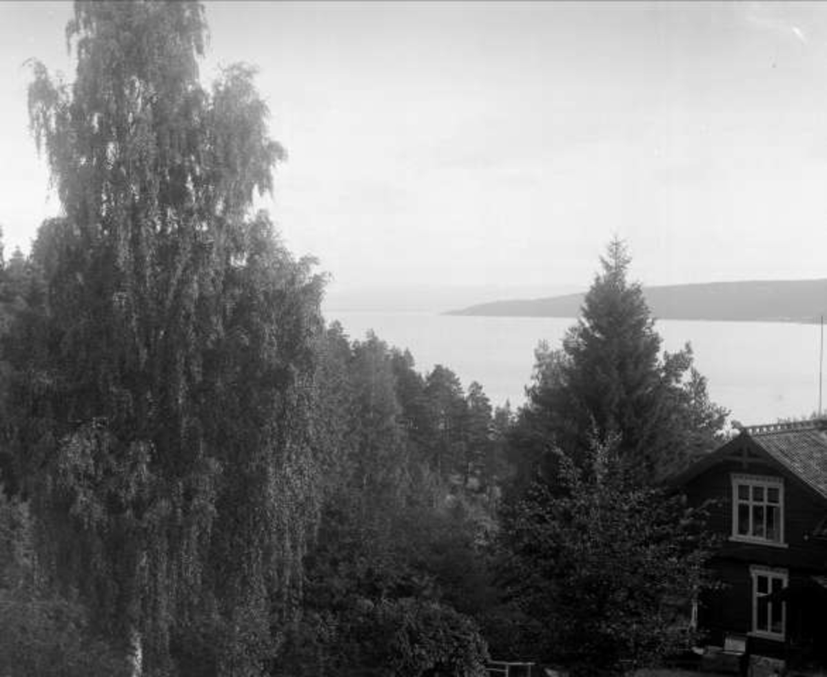 Gustav Borgen, NFB.00066