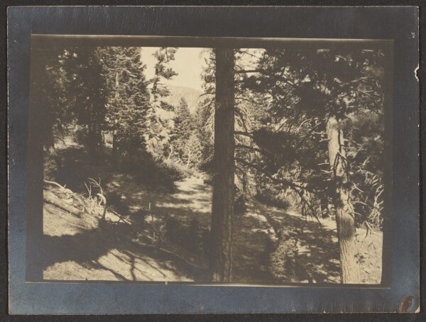 Louis Fleckenstein, [Re-Photographed Landscape]