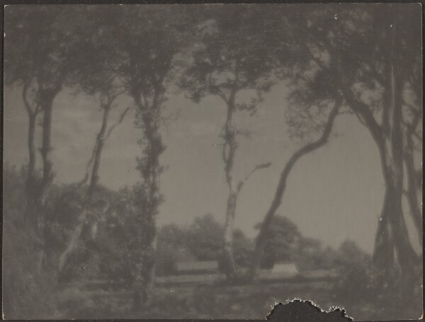 Louis Fleckenstein, [Landscape with Trees]