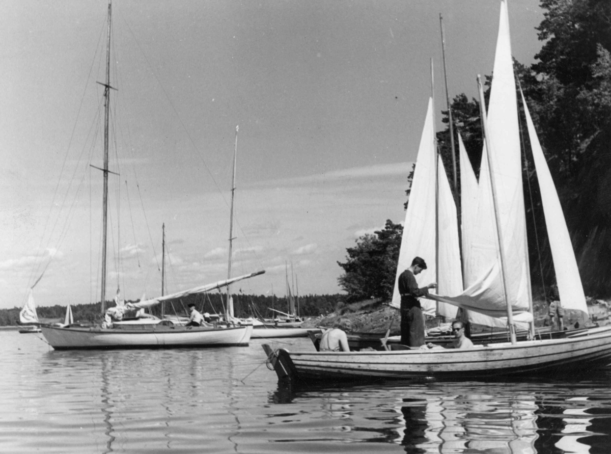 Anders Beer Wilse, Seilsport