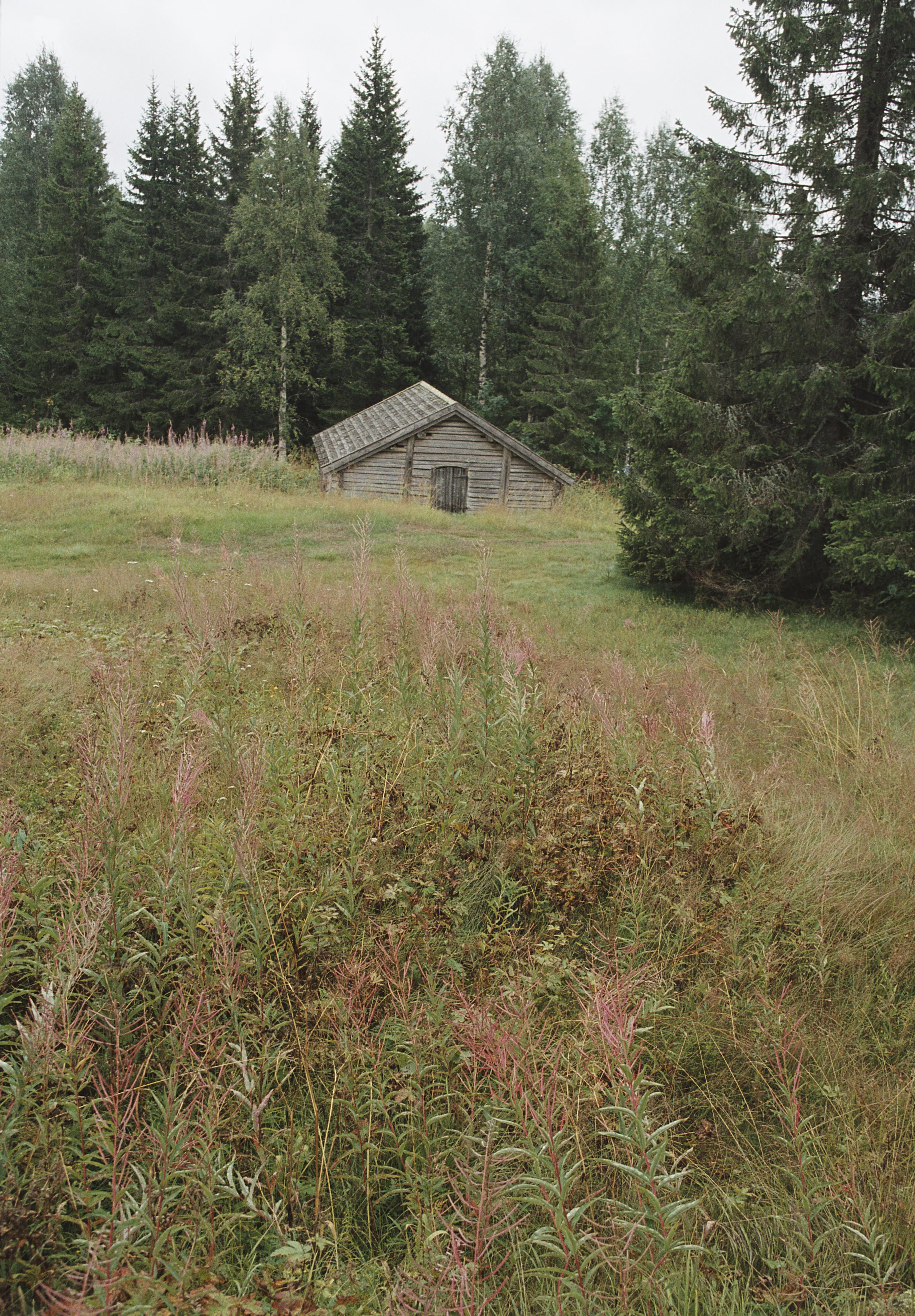 Bengt A Lundberg, Skuleskogens Nationalpark