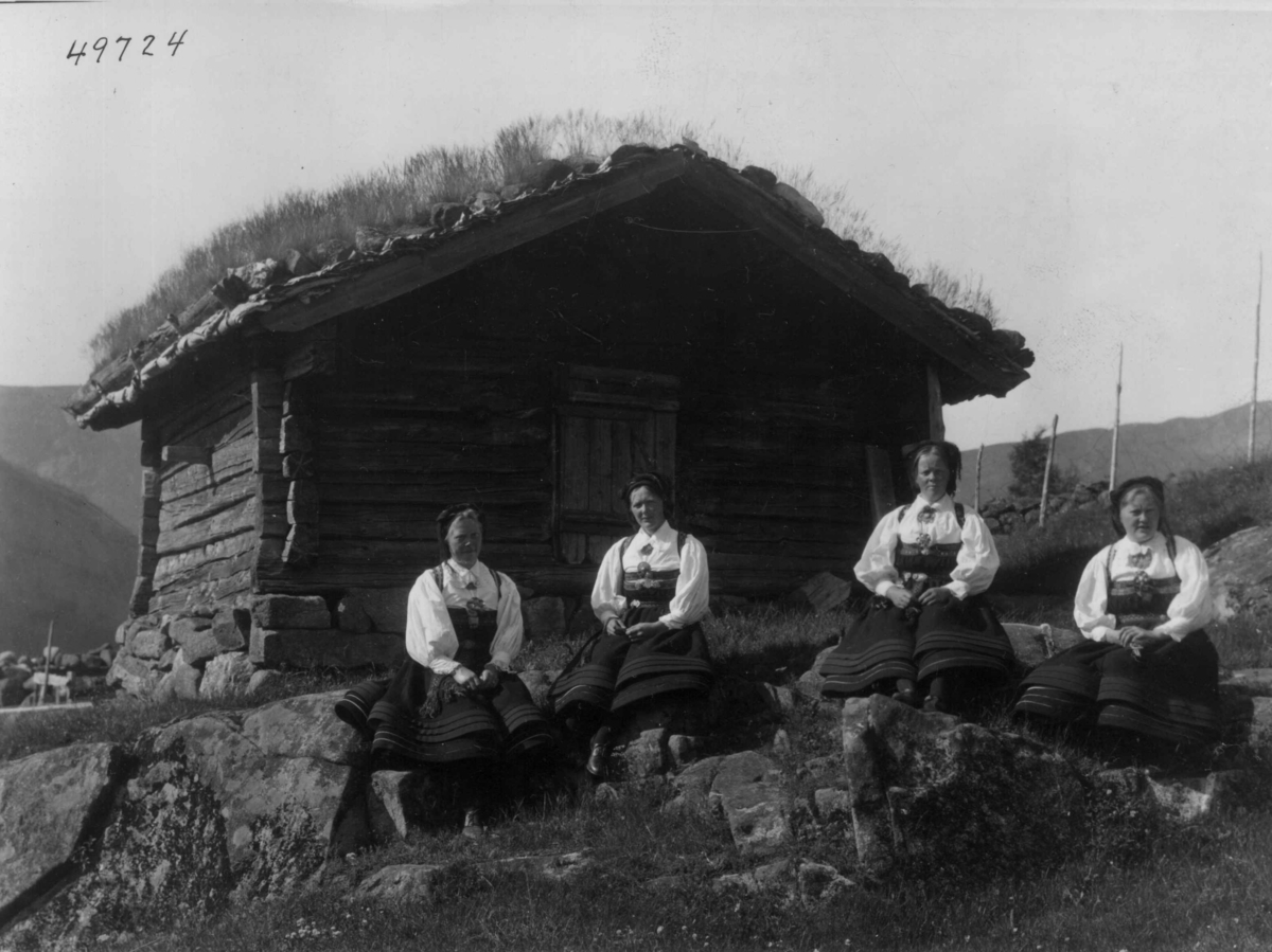 Anders Beer Wilse, Wilse original, Kvinnedrakt