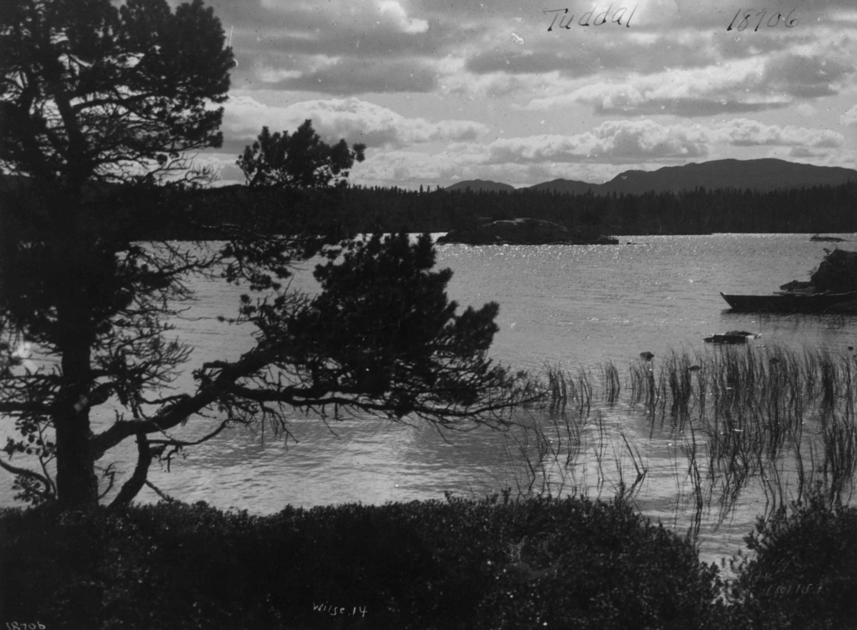 Anders Beer Wilse, Landskap