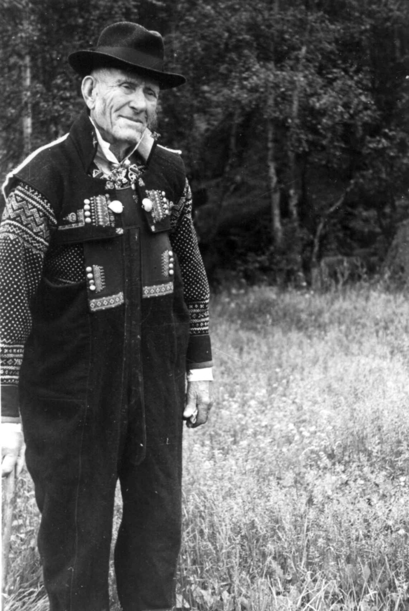 Anna Grostøl, Valle 1939. Portrett av Bjørn Harstad.