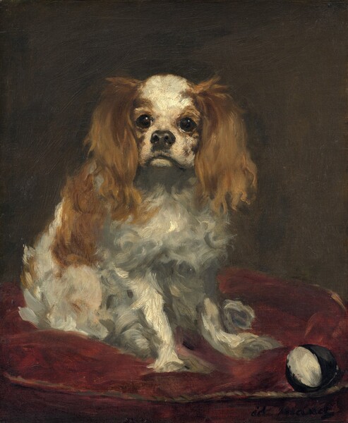 Edouard Manet, A King Charles Spaniel
