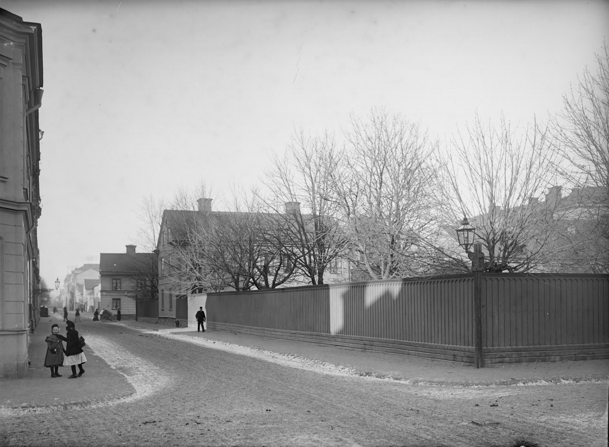 Alfred Dahlgren, Dragarbrunnsgatan - Cabbage Bound, Kungbed, Uppsala 1901 - 1902