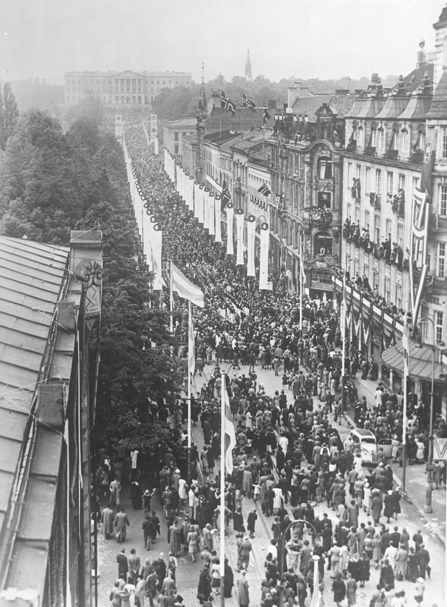 Anders Beer Wilse, Prot: Kongetoget Karl Johan folkemasse 7. juni