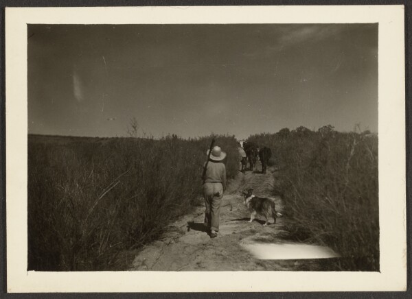 Louis Fleckenstein, [Figure on Trail with Dogs]