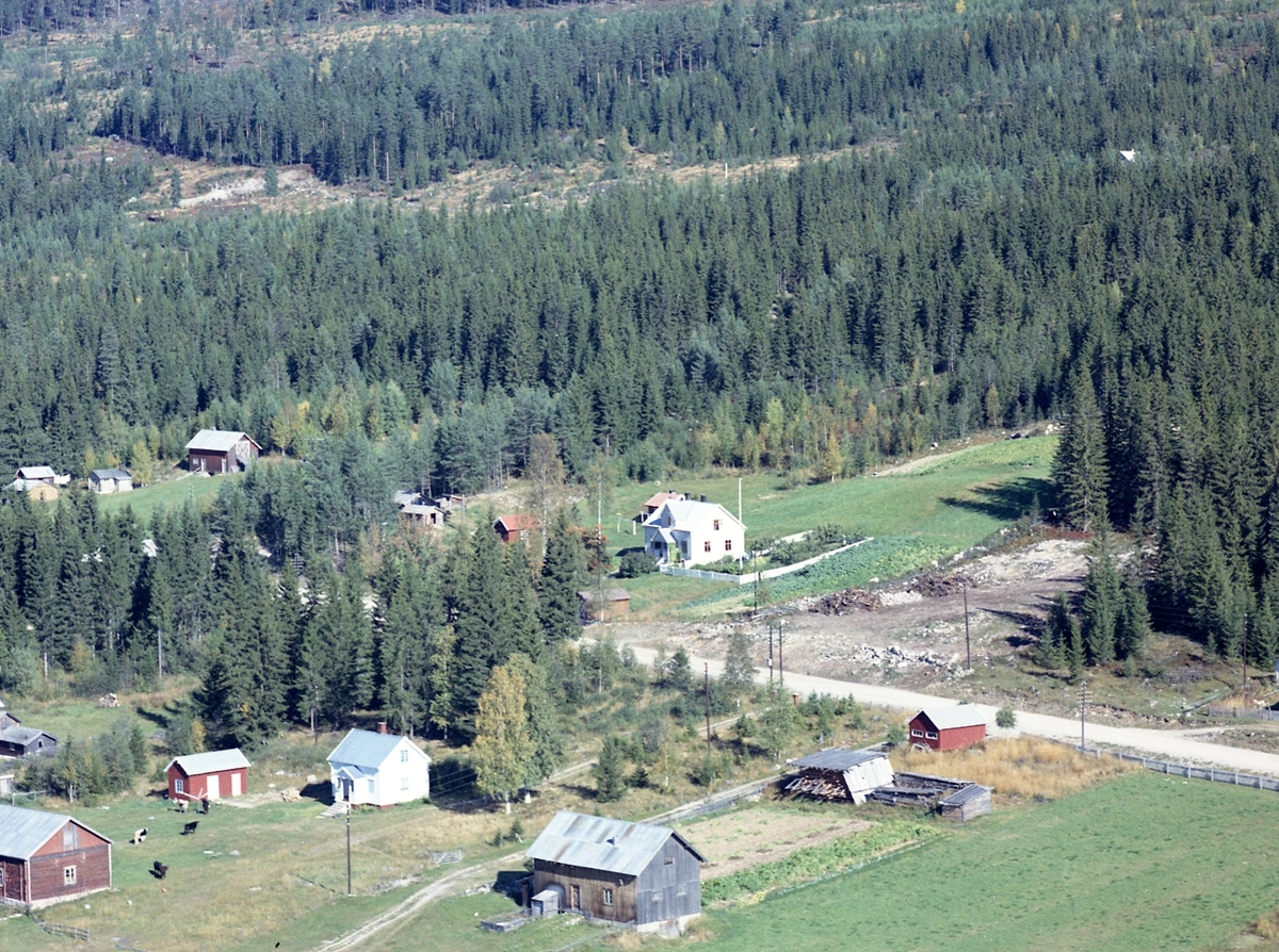 Widerøes Flyveselskap A/S, Bolighus