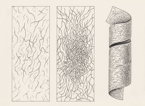 J Tinkelenberg, Circulatory system