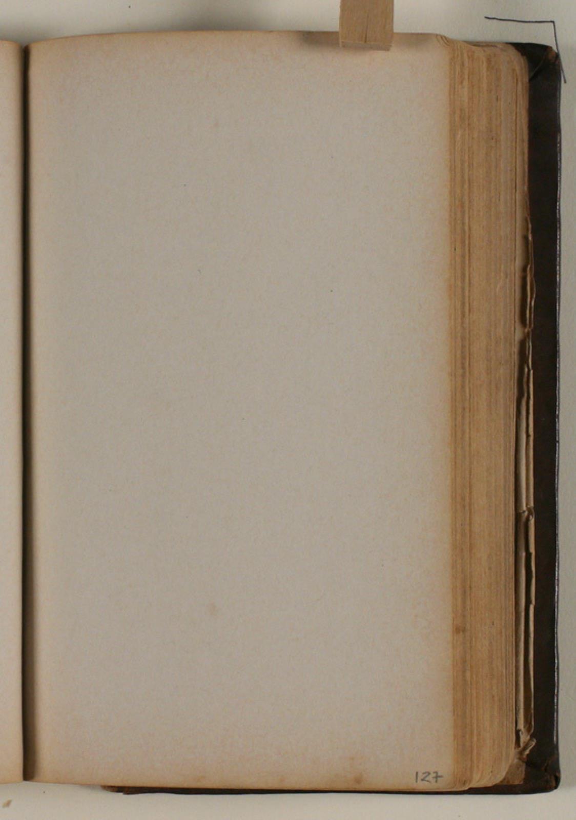 Niels Larsen Stevns, Blank