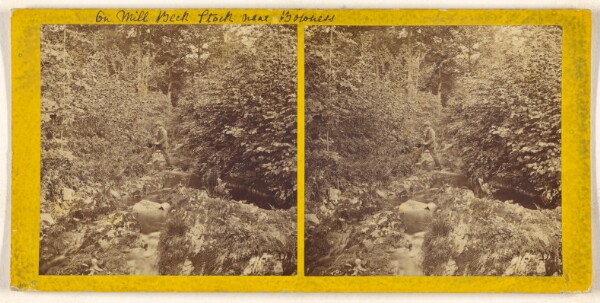 Unknown, [On Mill Beck Stock near Bowness]