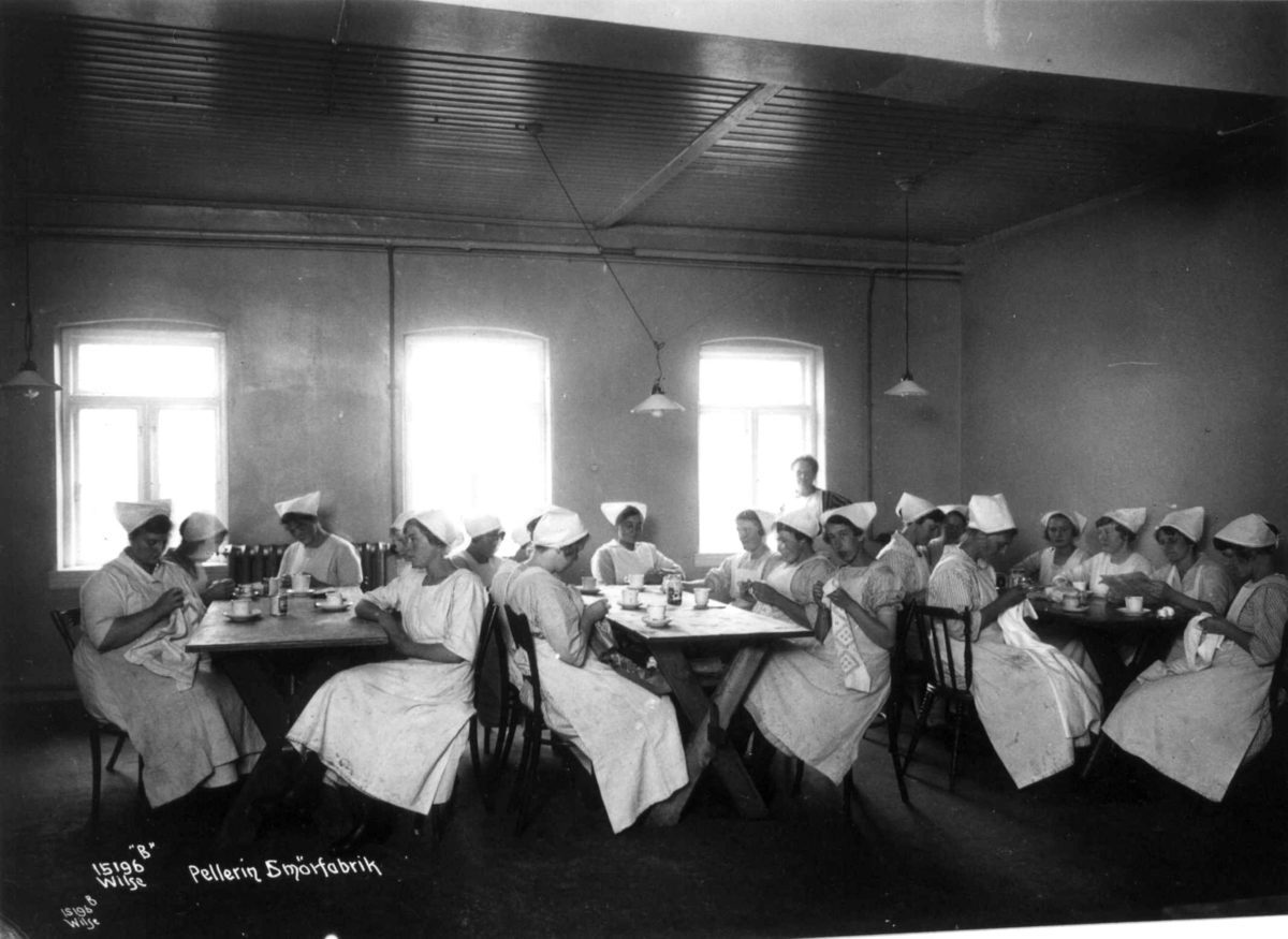 Anders Beer Wilse, Pellerin Margarinfabrikk