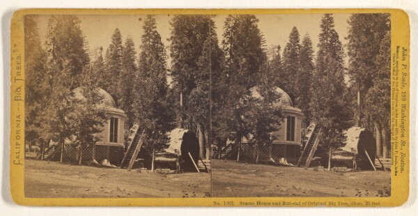 John P. Soule, Stump House and But-end [sic] of Original Big Tree, diam. 25 feet.