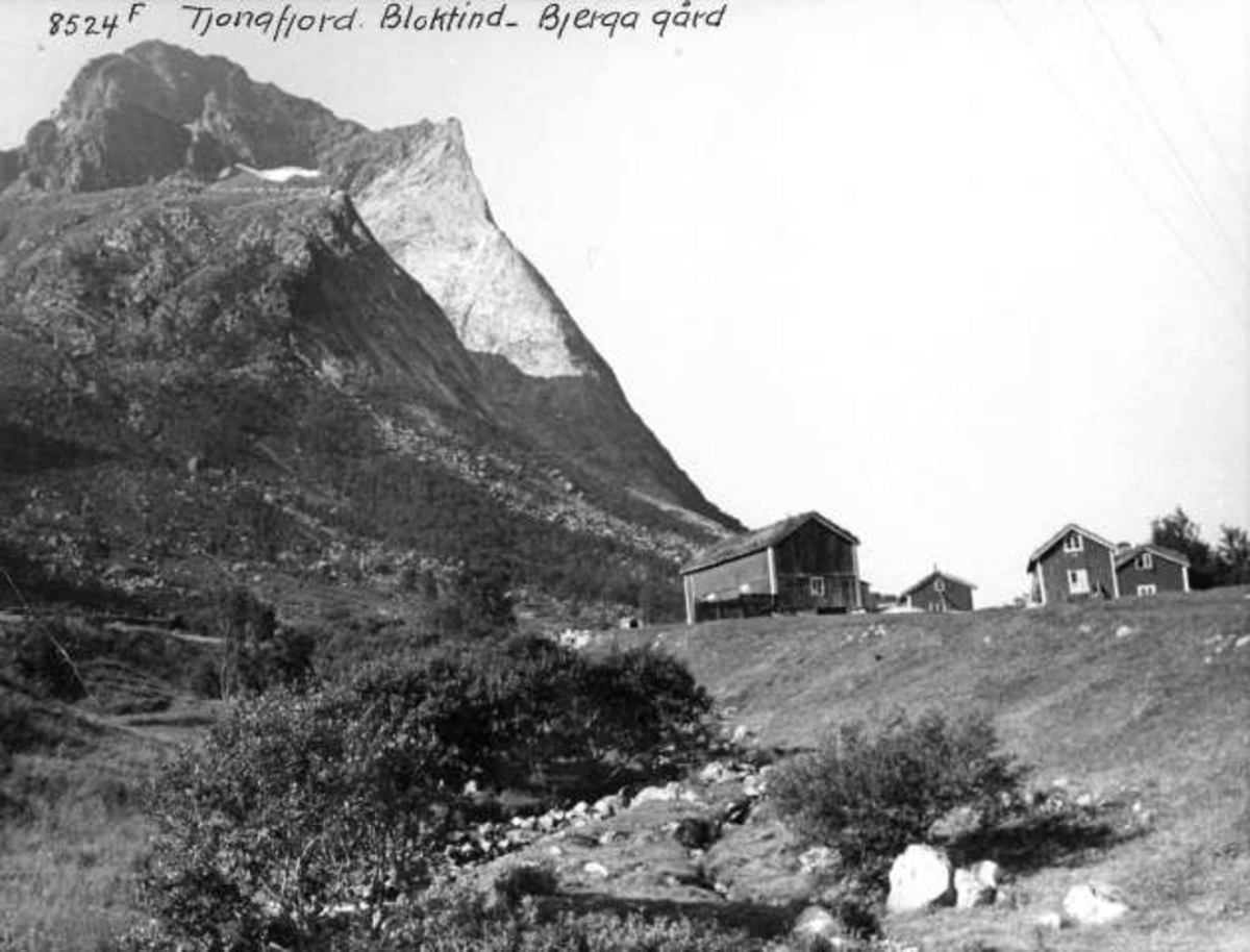Anders Beer Wilse, -5851