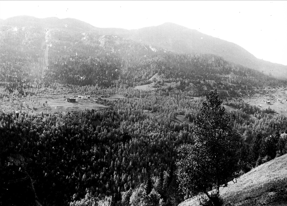 Axel Quinsgaard Wiborg, Svensrud, Nore, Numedal, Nore og Uvdal, Buskerud, 1906.