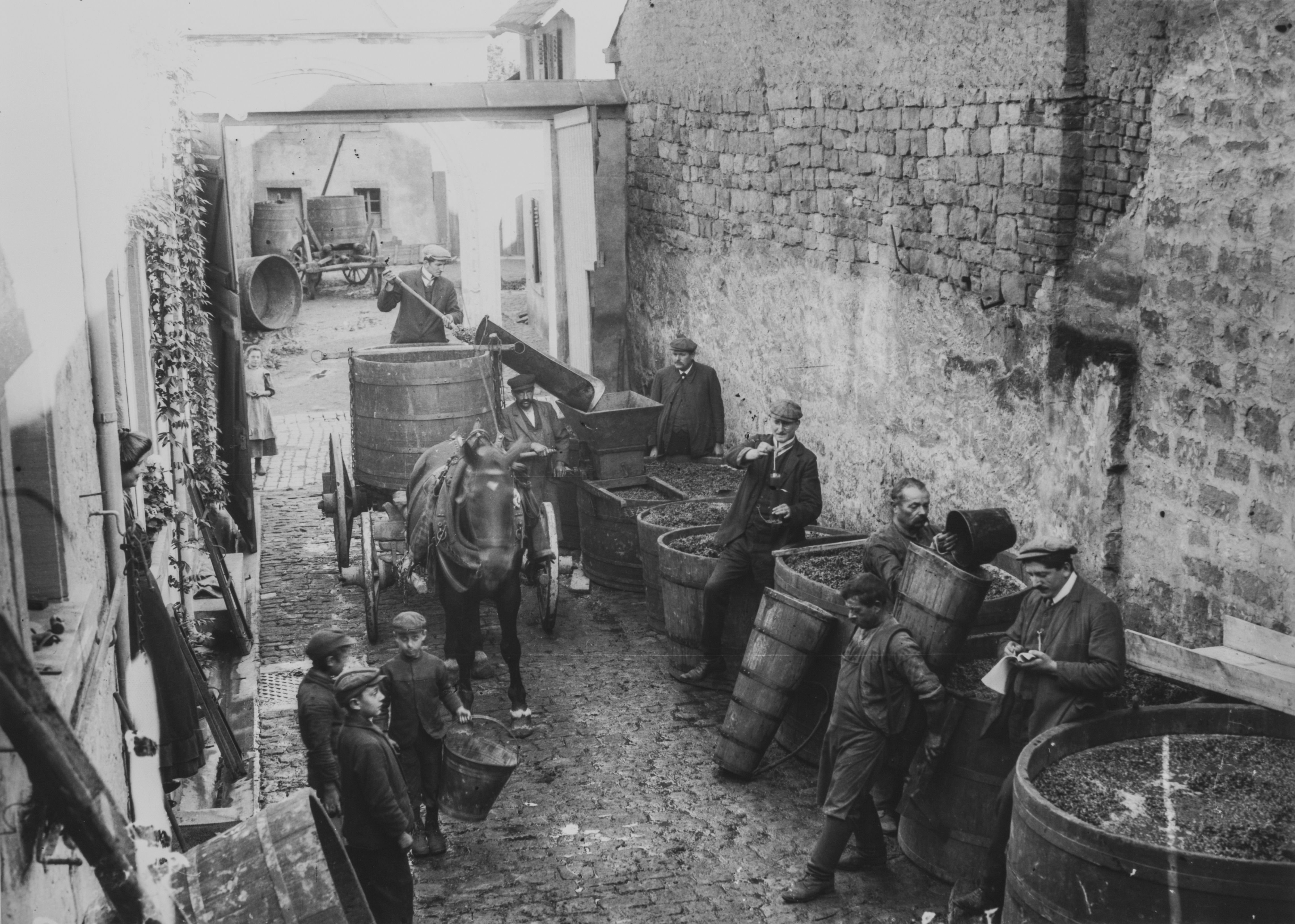Heinrich Strieffler, Historische Fotografie: Ankunft des Traubenmostes im Winzerhof