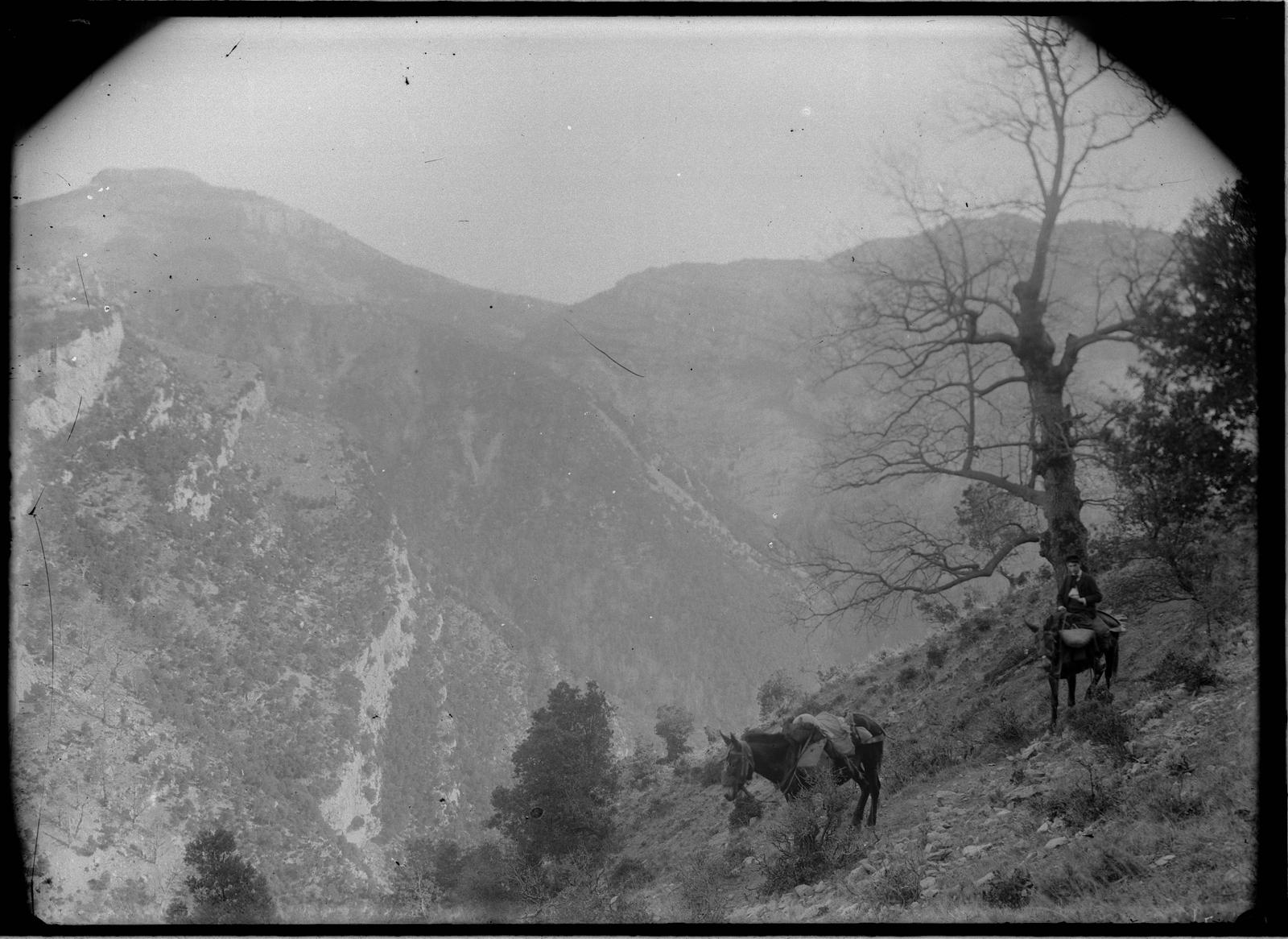 Desconegut, [Mountain]
