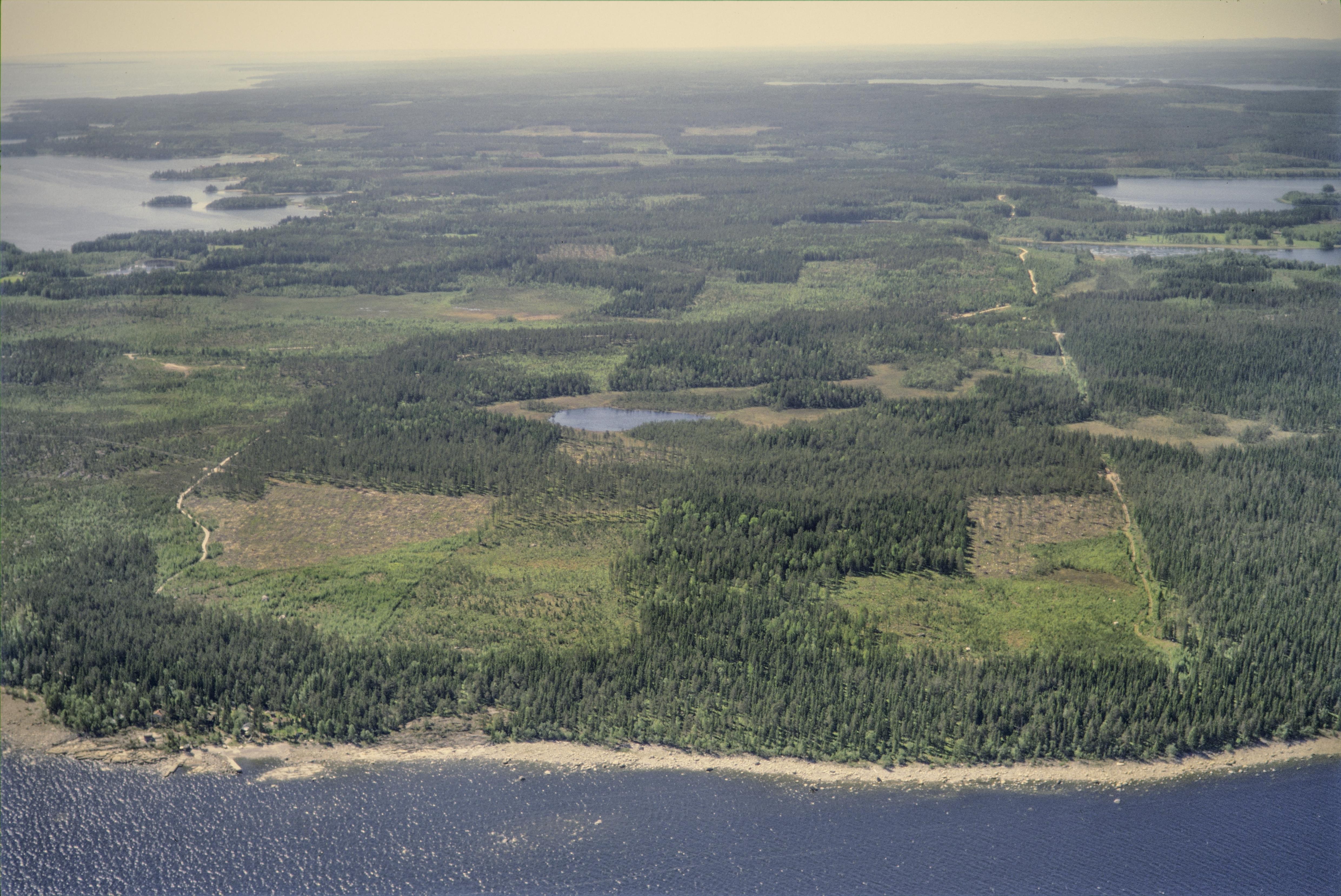 Jan Norrman, Njurunda 482:1