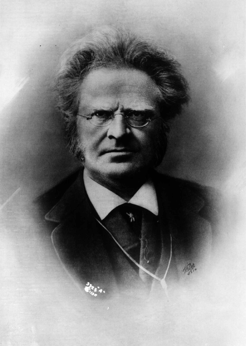 Anders Beer Wilse, Portrett, Bjørnstjerne Bjørnson (1832-1910).