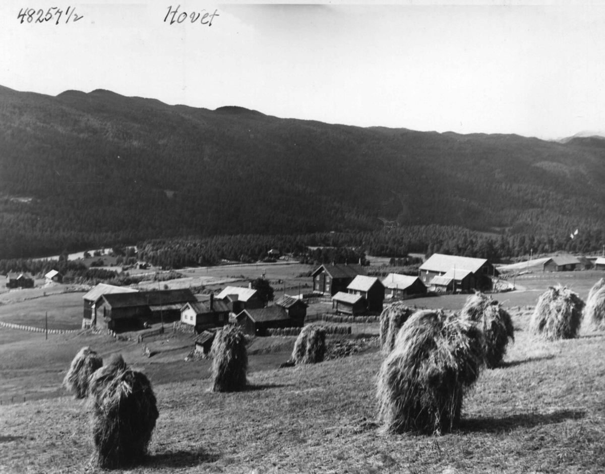 Anders Beer Wilse, Hovet, Bebyggelse, Oversiktsbilde
