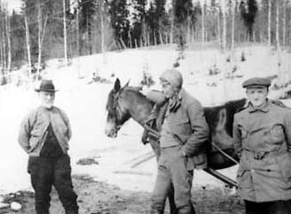 Anno Domkirkeodden, TØMMERKJØRING, GRUPPE: 3 MENN FRA VENSTRE: ANTON BJØLSETH, UKJENT, UKJENT, HEST, VINTER, ROMEDAL ALLMENNING