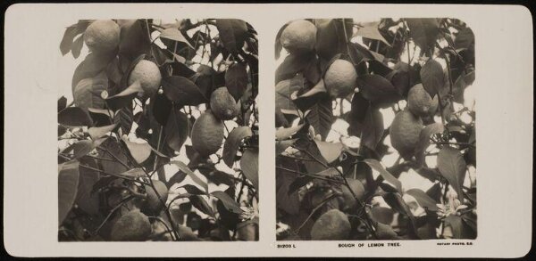Unknown, Photograph