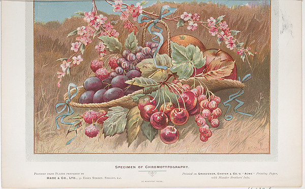 Anonymous, British, 19th century, Trade Card for Hare & Co., Ltd