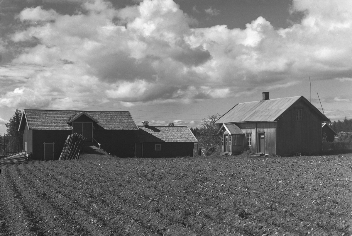 Anno Domkirkeodden, EKSTR: GARDSTUN, KONGLETORP SØNDRE. Se Løtenboka, bind 2. Bygdeboka fra 1953, side 324