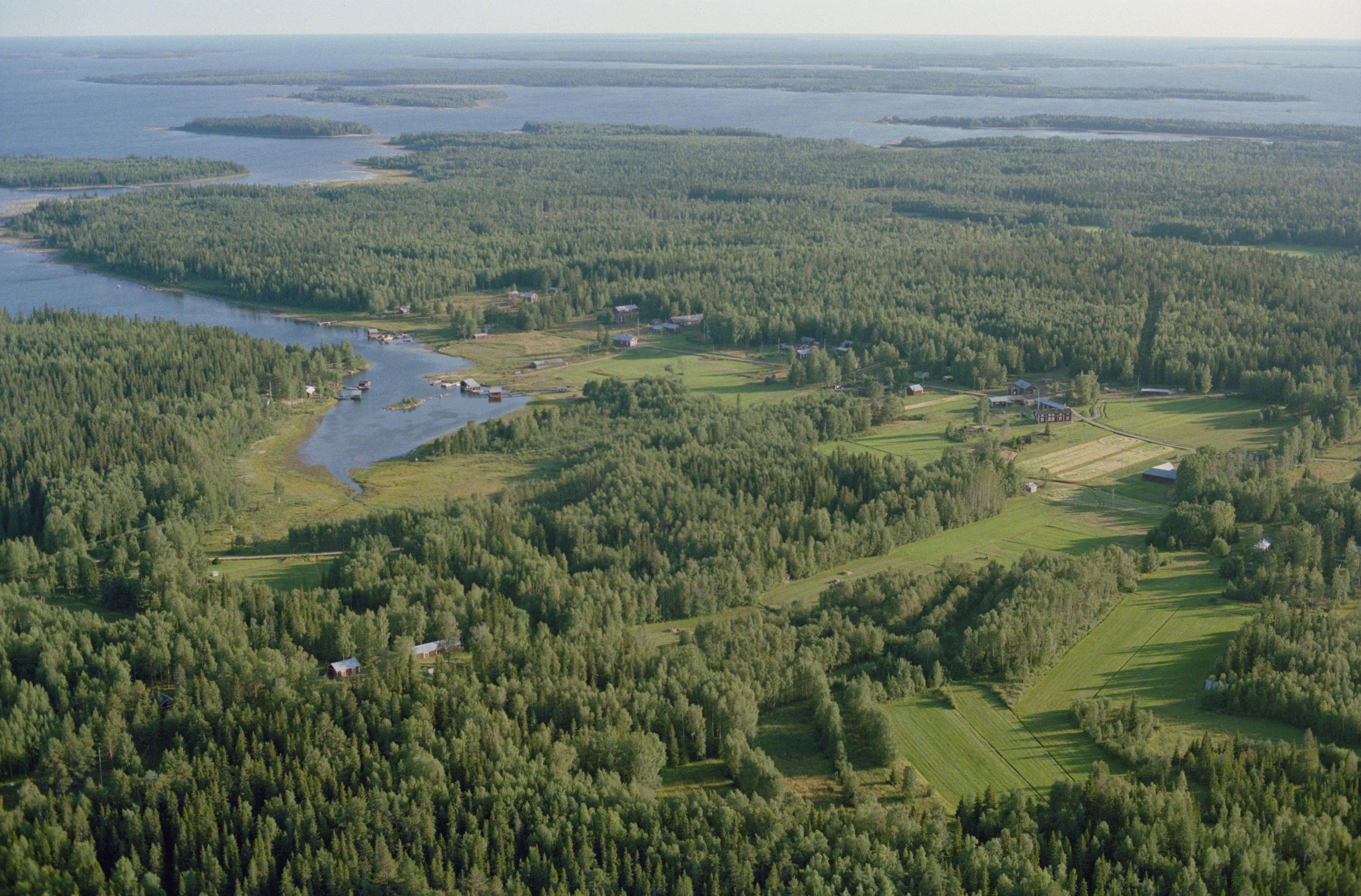 Jan Norrman, Nederluleå 1038:1