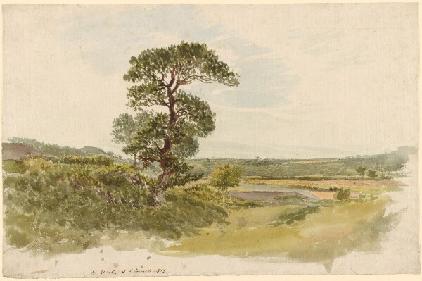 John Linnell, A Landscape in Snowdonia with a Tree in the Foreground