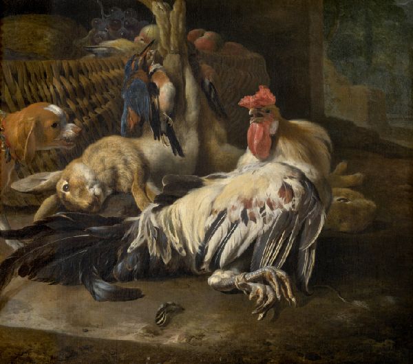 Melchior d'Hondecoeter, Still Life with Cock
