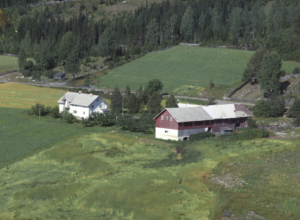 Widerøes Flyveselskap A/S, Flyfoto, Åset søndre, Åsmarka, Ringsaker.