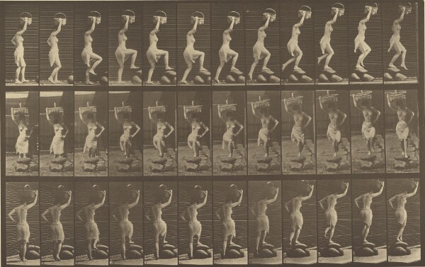 Eadweard J. Muybridge, Animal Locomotion