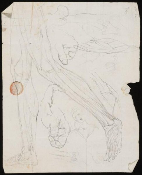 William Etty, Drawing