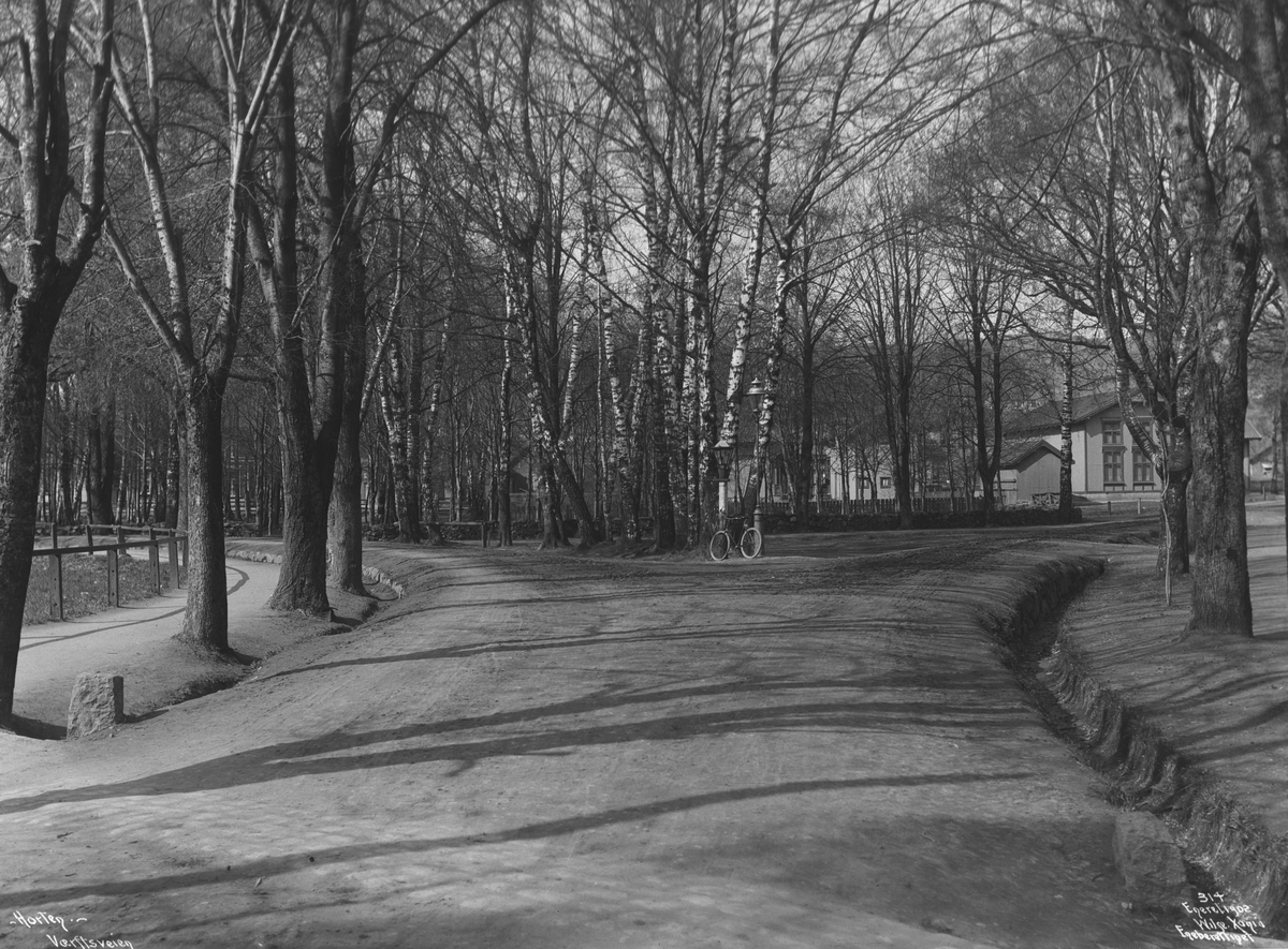 Anders Beer Wilse, Prot: Horten - Vei til Værftet Mai 1902