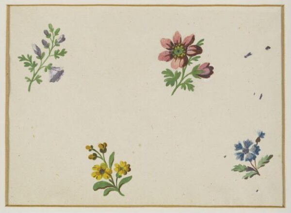 Unknown, Drawing
