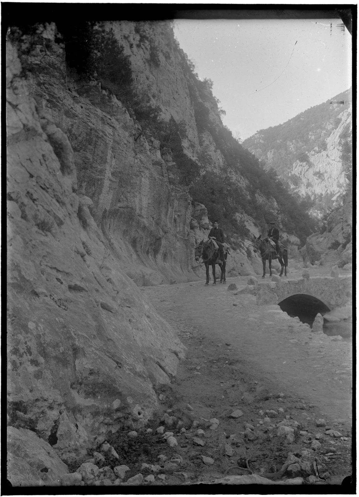 Desconegut, [Paths]