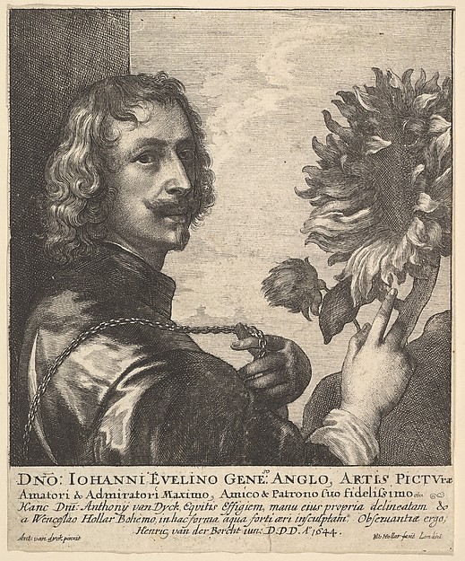 Wenceslaus Hollar, Sir Anthony Van Dyck with a Sunflower
