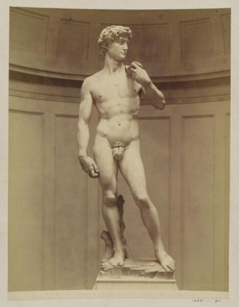 Fratelli Alinari, Photograph