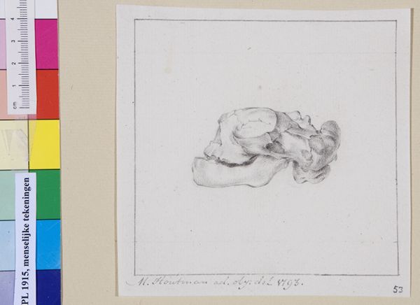 M Houtman, Child's skull