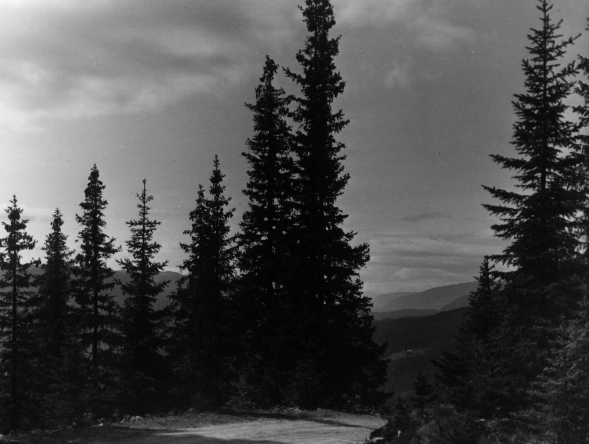 Anders Beer Wilse, V/ Breidablikk Valdres