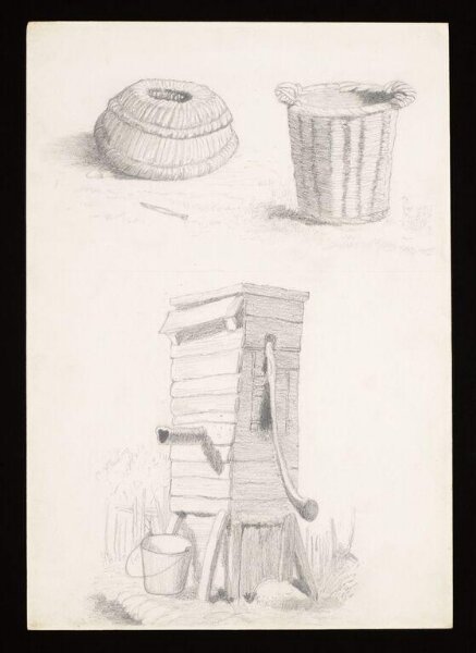 Potter, Beatrix, drawing