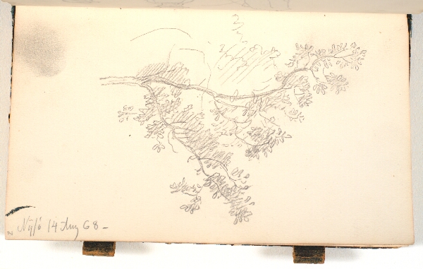 P.C. Skovgaard, En gren med løv