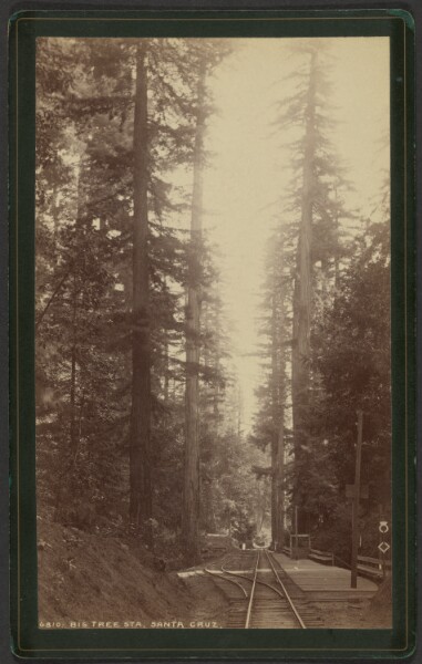 William Henry Jackson, Big Tree Station, Santa Cruz