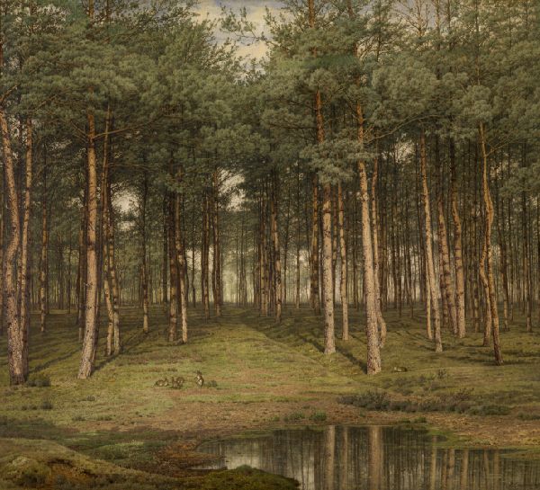 Jean Pierre François Lamorinière, Fir Wood at Putte