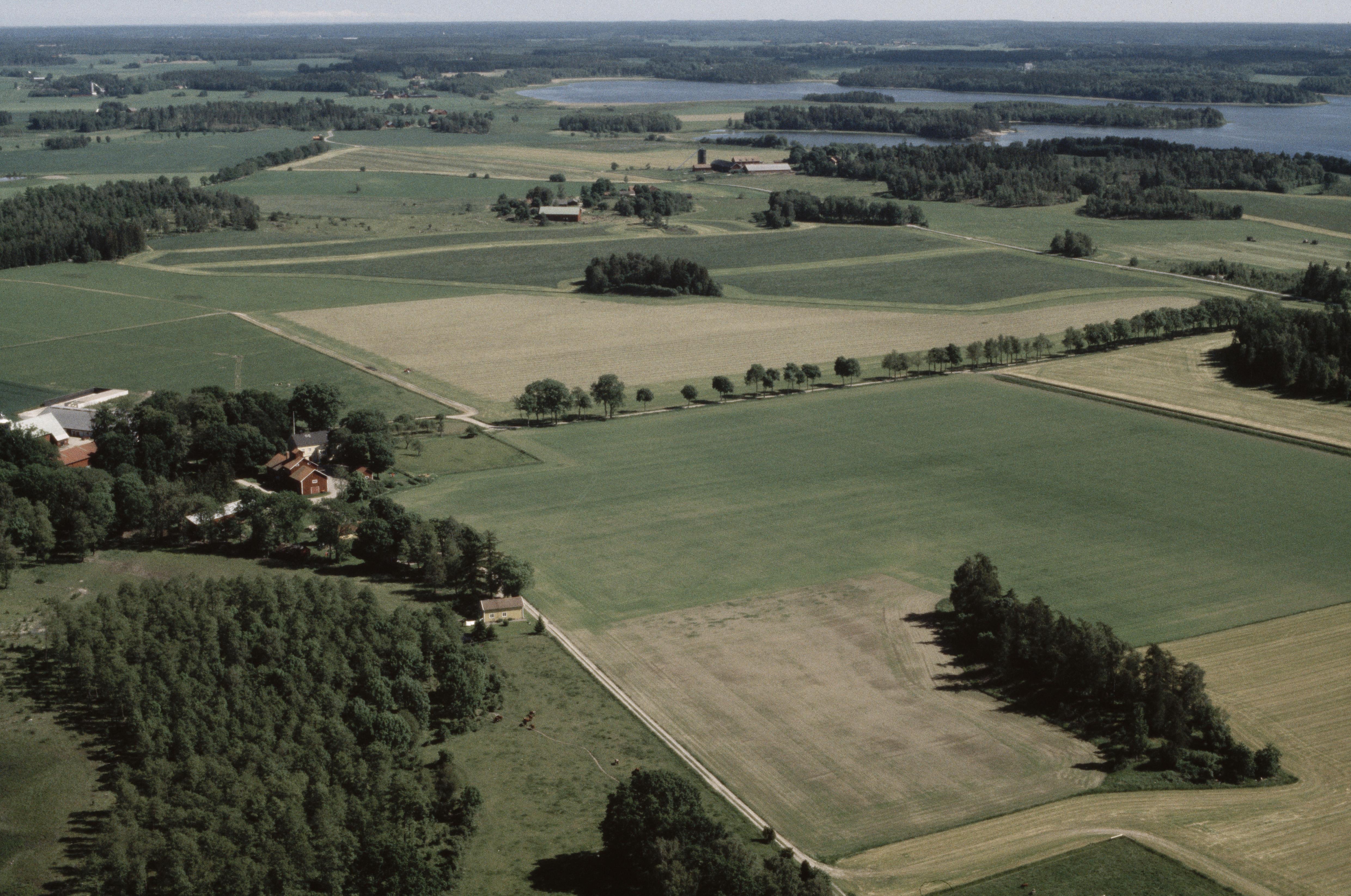 Jan Norrman, Stigtomta 135:1